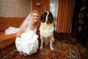 A Bride and Her Dog